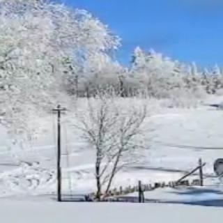 雪花的快乐  徐志摩