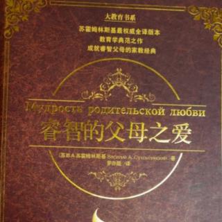 朗读《睿智的父母之爱》59、给儿子的信(25)