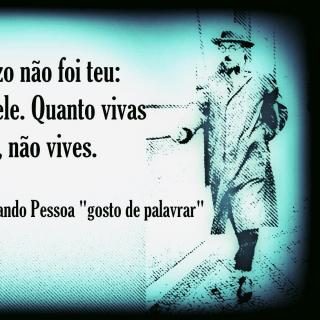 葡语读诗｜Cada Dia sem Gozo não Foi Teu•你不喜欢的每一天不是你的