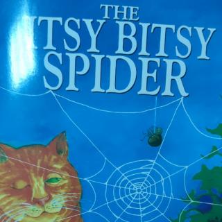 末末读绘本101-The Itsy Bitsy Spider