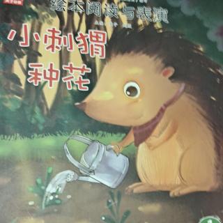 明珠幼儿园毛毛老师讲故事《小刺猬🦔种花》