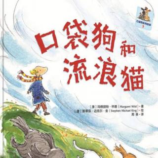 幼专附属幼儿园   李老师《口袋狗和流浪猫》