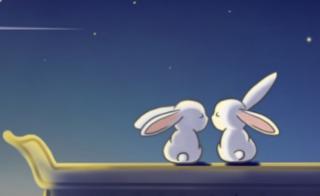 晚安故事—《小白兔和小灰兔》
