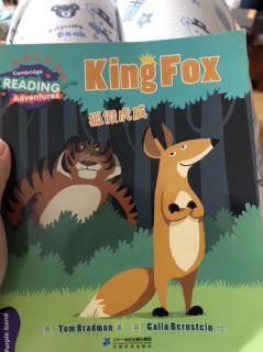 King Fox 狐假虎威 11.23