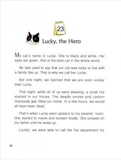 one story a day一天一个英文故事-11.23 Lucky，the Hero