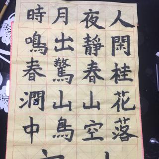 《儒林外史》15（下）