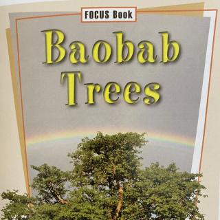 SAZ - Baobab Trees