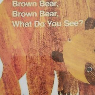 Brown bear