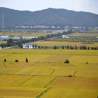 天气预报