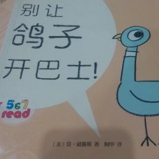 别让鸽子开巴士