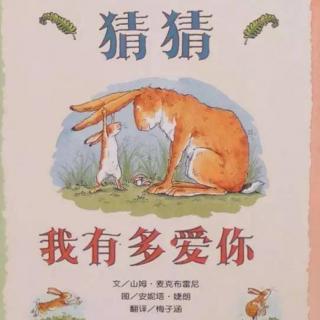 《猜猜我有多爱你》