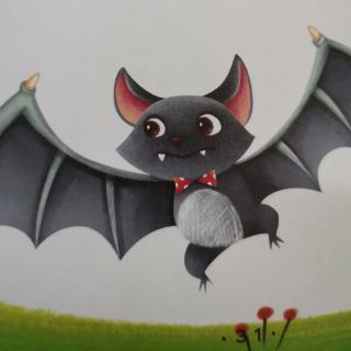 儿童故事——《可怜的蝙蝠》