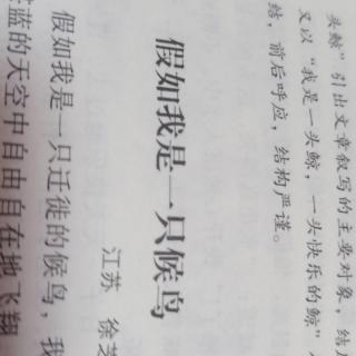 假如我是一只候鸟，11月25号