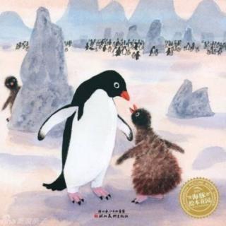 悦读童年——马静《企鹅在冬眠》（来自FM182809517）