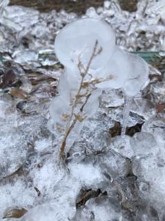 《问雪》让我们一起慢下来