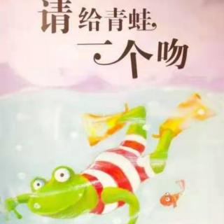 请给青蛙一个吻🐸