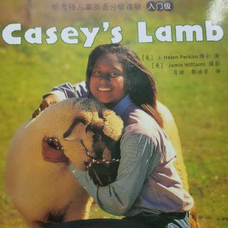 Casey's lamb
