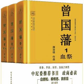 曾国藩 第一部 血祭 第一章  奔丧遇险  2   