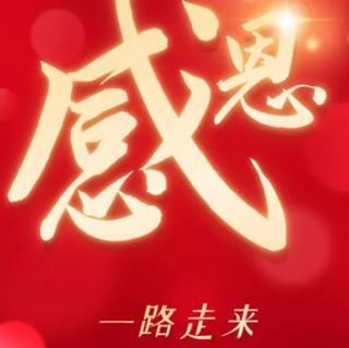 《羊皮卷第五卷》11.26