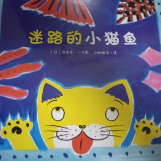 【晚安故事231】《迷路的小猫鱼》