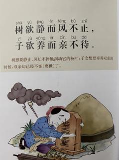 恬恬妈妈讲故事——《增广贤文-树欲静而风不止》