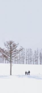 第一百四十八话：《初雪，且以深情共白头》