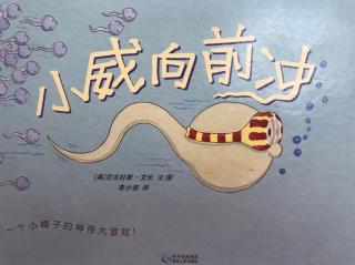 陪平安讲故事1849《小威向前冲》