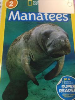 Nov.27 Manatees-Dodo 1