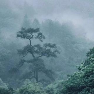 《山雨》快乐从容