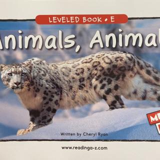 RAZ LevelE 703 - Animals，Animals