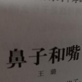 鼻子和嘴，11月28号