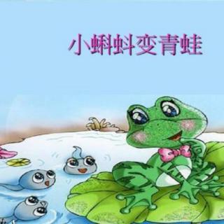 【海贝🌺】余老师晚安💤小故事第120天《怕变青蛙🐸的小蝌蚪》