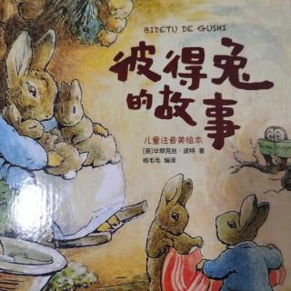 兔子🐰彼得的故事（一）