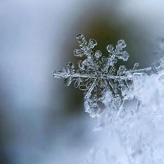 雪花的快乐