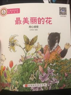 最美丽的花