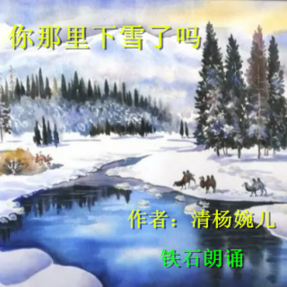 《你那里下雪了吗》作者：清杨婉儿；铁石朗诵  