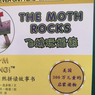 自拼H绘本《THE MOTH ROCKS》