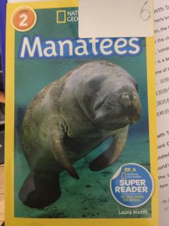 Nov.28 Manatees-Dodo 1