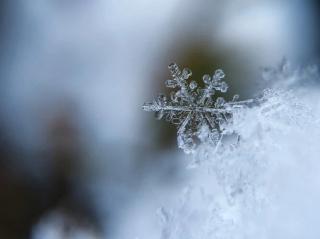 【雪花】欧震