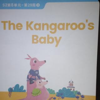 the  kangaroo's  baby