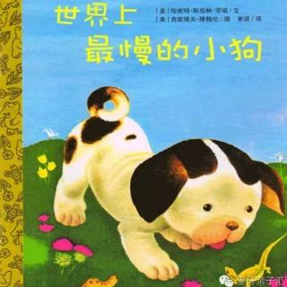 1130绘本故事《世界上最慢的小狗》主播-笑笑老师