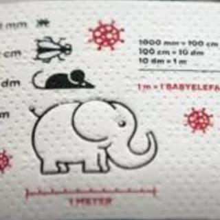 World's first toilet paper stamp