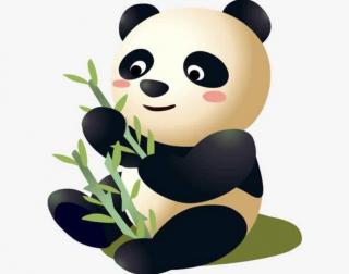 晚安故事—《小熊猫的故事》