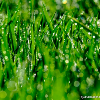 《春雨》文/罗汉