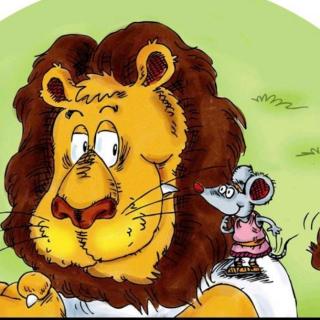 和狮子握手的老鼠——苑苑老师爱❤️的小故事