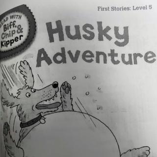 Husky Adventure