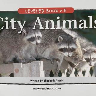 RAZ LevelE 705 - City Animals