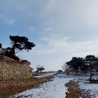 站在冬的路口，等待一场雪花的飘落