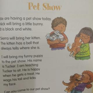 Pet Show