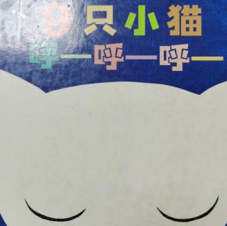 9只小猫